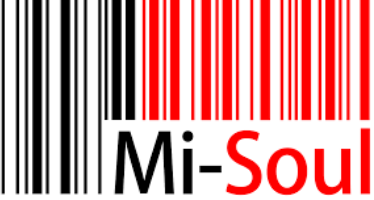 /_media/images/partners/mi soul radio edit-11ae9c.png